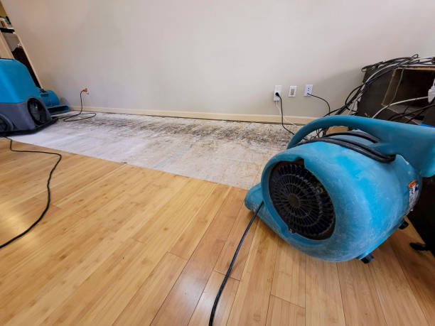 Professional Sewage Cleanup technician working in Bamberg, SC